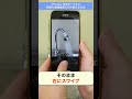 【iPhone】写真モードから瞬時に動画撮影に切り替える方法を紹介 #shorts