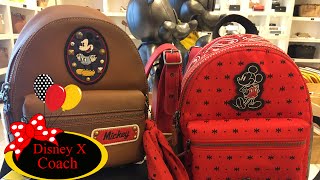 Finally, i was able to make it the coach outlet store pick up a few
disney x pieces. so excited go. hope you enjoy video. s...
