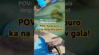 Pov: Gala is life! 🤣 #travelnow #beach #beachlife #pov #fypシ゚viral #viralshorts #beachdestination