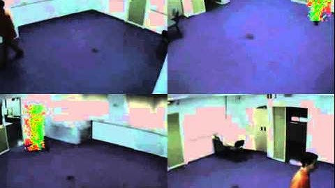 Pyramidal Fisher Motion for Multiview Gait Recognition