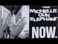 君に会いにゆこう(demo) / thee michelle gun elephant