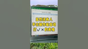 能自动打勾打叉的表格你见过吗？#知识分享 #职场 #办公技巧 #每天学习一点点 #Excel