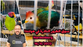 سوق الطيور  ب Hardenberg بهولندا  سوق النوادر