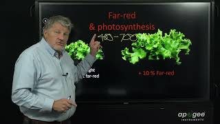 Is PAR really 400700 nm? The McCree Curve Revisited with evidence ePAR should be the new standard.