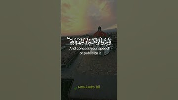 إن الذين يخشون ربهم بالغيب لهم مغفرة وأجر كبير // ما تيسر من #سورة_الملك -الآية 12 🎧🎧