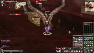 9dragons Hardcore pvp test