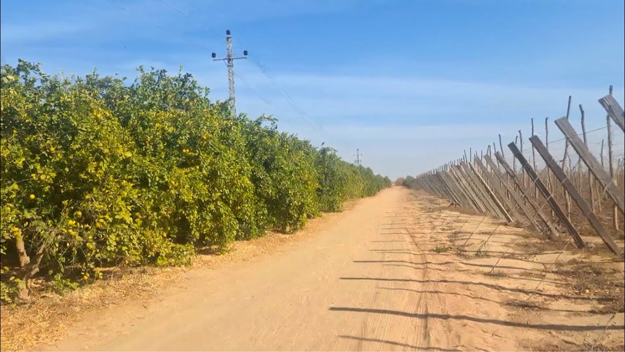 مزرعة للبيع 100 فدان عقد ملك نهائي ممكن تتقسم كل 25 فدان في رجوة طريق مصر اسكندرية الصحراوي