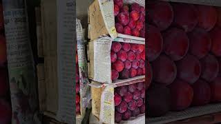 #apple #plam ##Naspati #mandi #Siliguri #darjeeling #westbengal #City #fresh #Regulated #Marker