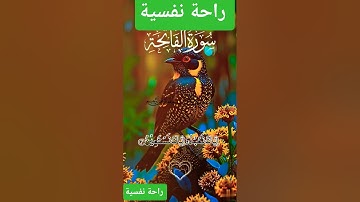 سورة الفاتحة #اكسبلور #قرآن #دويتو #المصحف #تيك_توك #duet #لايك #راحة_نفسية #حالات_واتس #ترند #fyp
