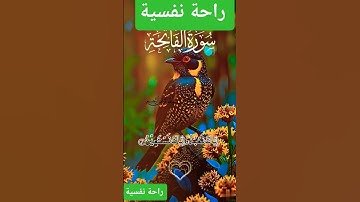 سورة الفاتحة #اكسبلور #قرآن #دويتو #المصحف #تيك_توك #duet #لايك #راحة_نفسية #حالات_واتس #ترند #fyp