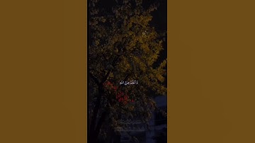 احترم القرآن الكريم 40 ثانيه 💙🎧🕋🌏 #quotes #اكسبلور #الرحمن #دويتو #العظماء #لايك #الظروف #ت #المصحف