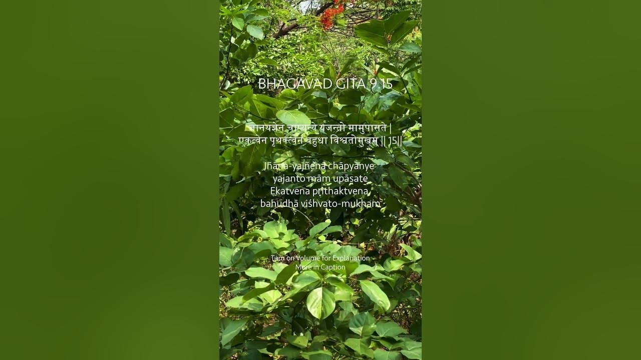 bhagavad-gita-chapter-9-verse-15-different-paths-one-truth-just