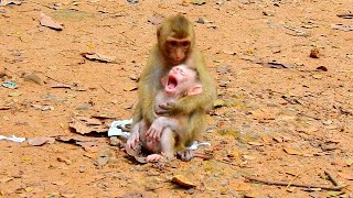 Mom go to Market don't c-r-y brother ...!! by Wild Monkey 936 views 6 months ago 18 minutes