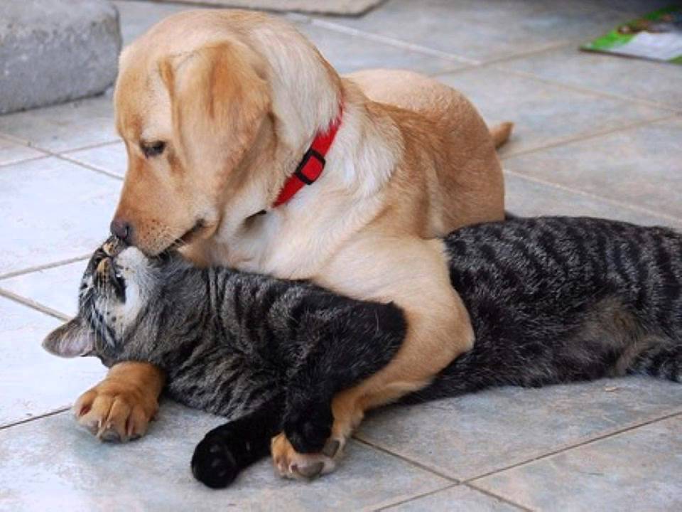 Let It Be Me ♥♥ Jerry Butler & Betty Everette Let It Be Me ♥♥ Jerry Butler & Betty Everette