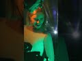 POV you brought a projector to a photoshoot - wait to see the end result! #shorts #photoshoot