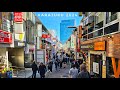 Walking from shibuya to harajuku in tokyo  january 2024  4k  osmo pocket 3