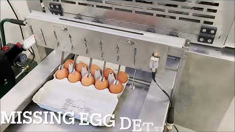 DAMTECH Optipack40 repacker egg packer