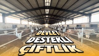 DEVLET DESTEKLİ ÇİFTLİK KURULUMU | DEVLET DESTEKLİ HAYVANCILIK