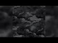 Rarefiey - A D A P T A S I