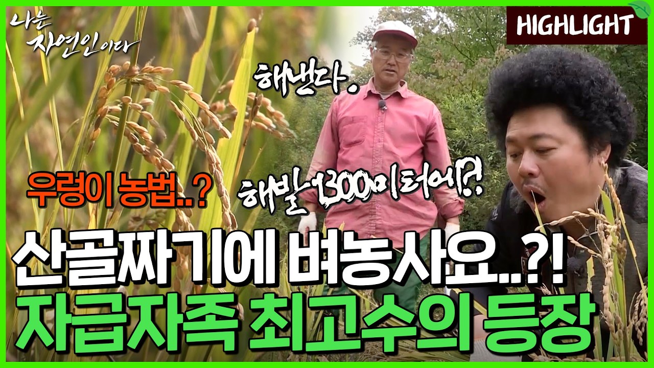 해발 1,300미터 산중 자급자족의 왕이 된 행복의 나라 자연인 이야기｜자연인 하이라이트 216회