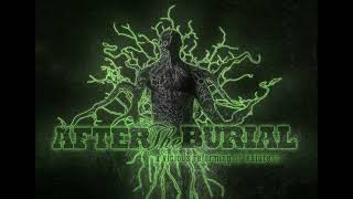 After The Burial - A Vicious Reforming Of Features (instrumental)