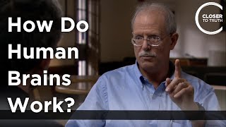 Eran Zaidel - How Do Human Brains Work?