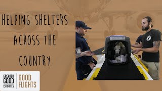 How Clear The Shelters is Making a Difference