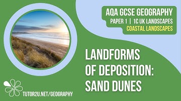Landforms of Deposition: Sand Dunes | AQA GCSE Geography | Coastal Landscapes 8