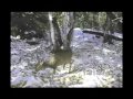 2009-10-17 Sony DCR HC20 trail cam video's