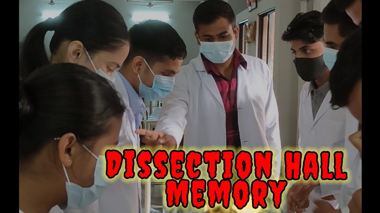 Types of MBBS Students in Dissection Hall 🔥|| Girls vs Boys || - YouTube