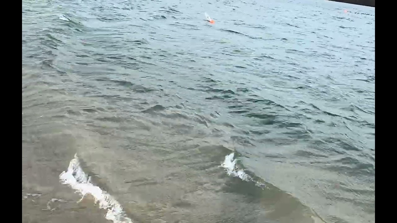 High wind sailing of C53 Monohull Prototype (Micro Magic Size) (1/2)