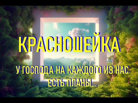 Видео: Сказка на Ночь Красношейка с Пением Птиц