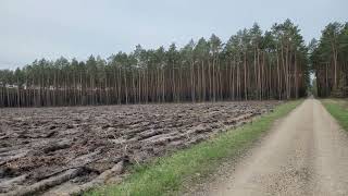 Gdzie pieniądze są za las ?!?!?!