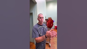 From a Bad Cough to Heart Murmur