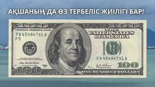 💰 Ақшаның да өз тербеліс жиілігі бар!