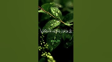 سورة المؤمنون [آية 45_48] #قرآن #المصحف #quran