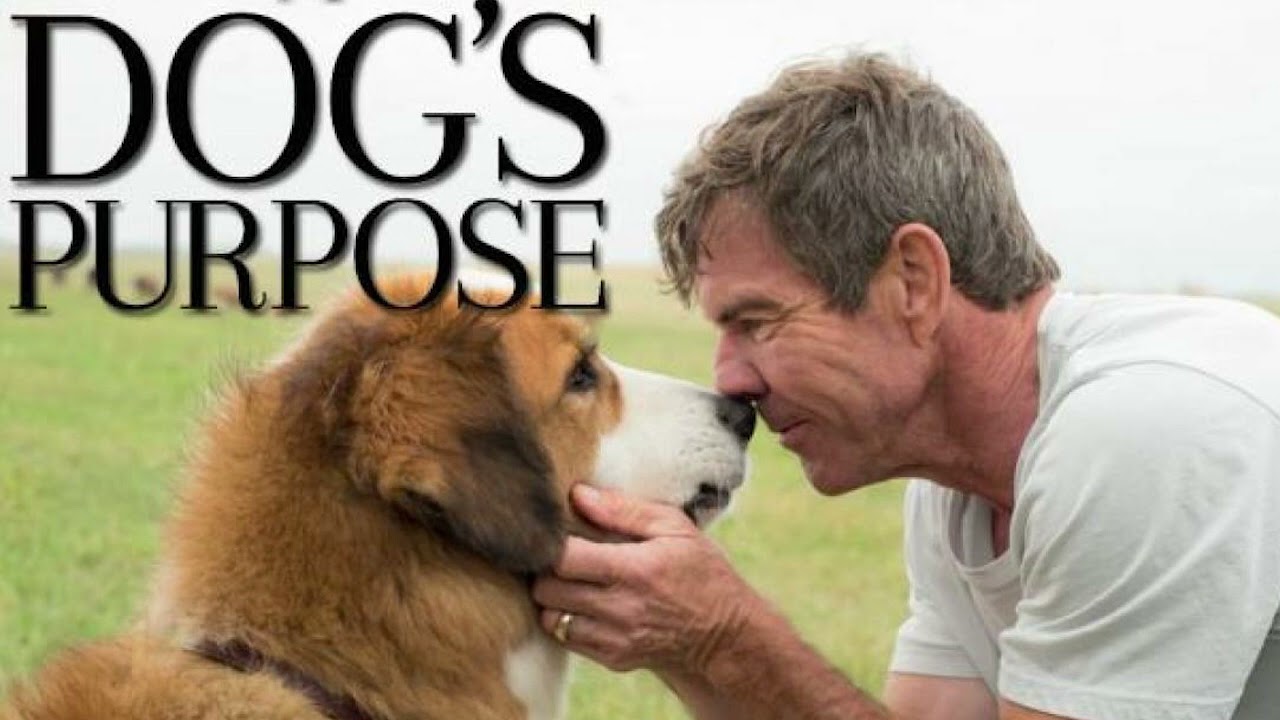 DOG'S PURPOSE MOVIE SOUNDTRACK THEME SONG EPIC MUSIC YouTube