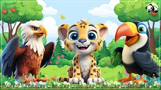 Lovely Animal Sounds & Adorable Animal Moments: Eagle, Leopard, Toucan | Animal Video