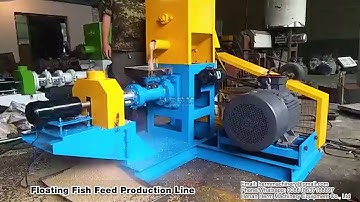 Dry Type Floating Fish Pellet Machine | Fish Feed Pellet Machine Supplier #fishfeedmachine