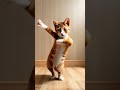 Real cat dancing aiart