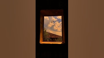 سورة النبأ _ 4