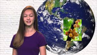 The curious kids were to know where chocolate comes from. do you know?
check out this fun segment and you’ll find out! cast: sierra,
sophie, jaden, m...