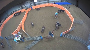 Big Sky Ranch Sorting Saddle Series #3 - #7 Sort - Round #1 - Ride #22