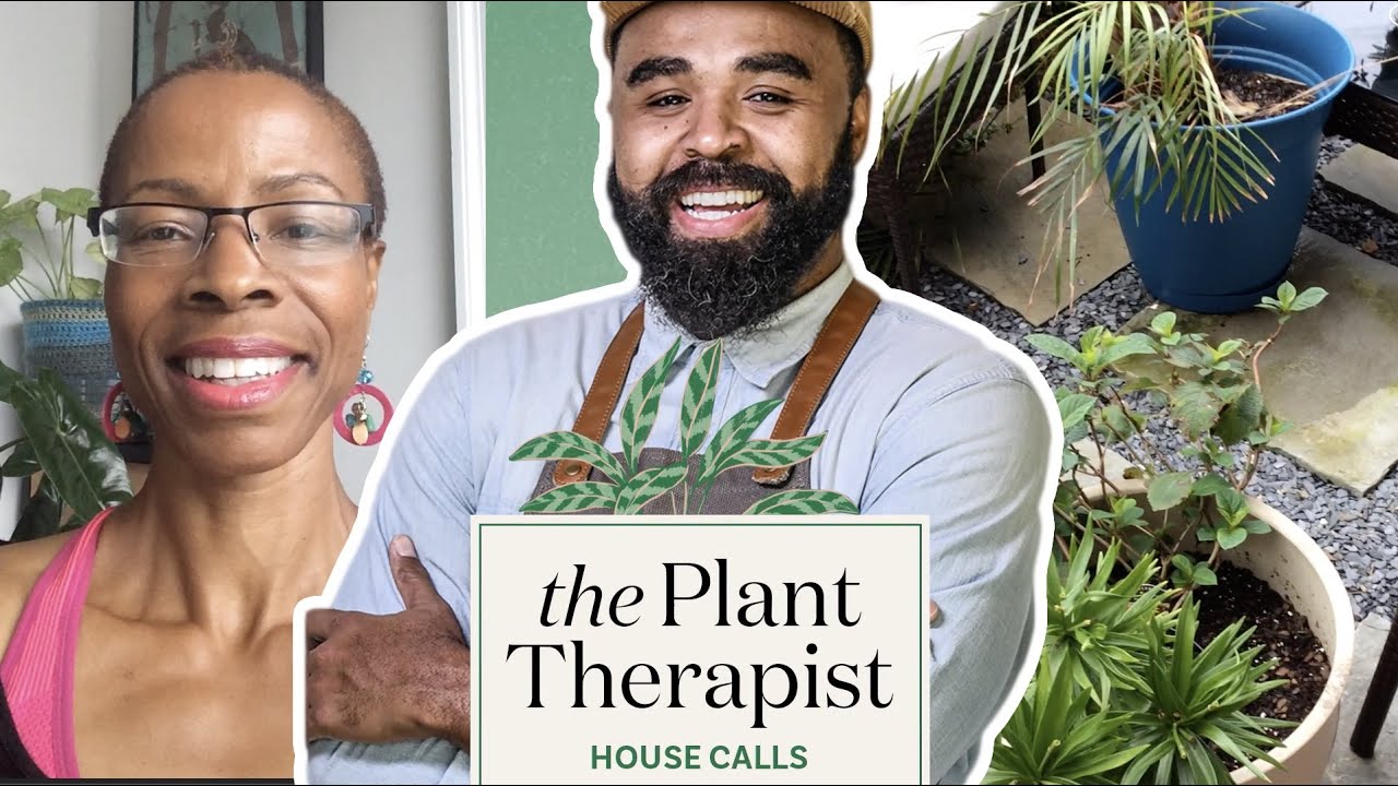 House Calls with the Plant Therapist: The Pothos and the Palm
