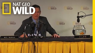 Part 4: Press Conference | Fish Bowl