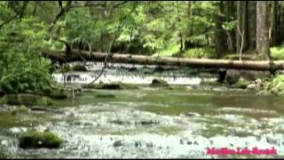 Mississippi moje mesto Maribor