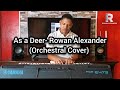 As a Deer- Rowan Alexander (Orchestral Cover)