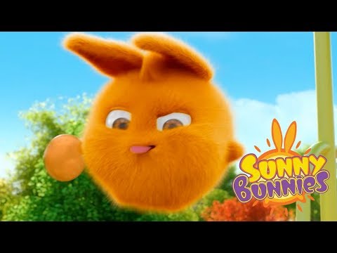 Videos For Kids | THE COIN | SUNNY BUNNIES | Funny Videos For Kids