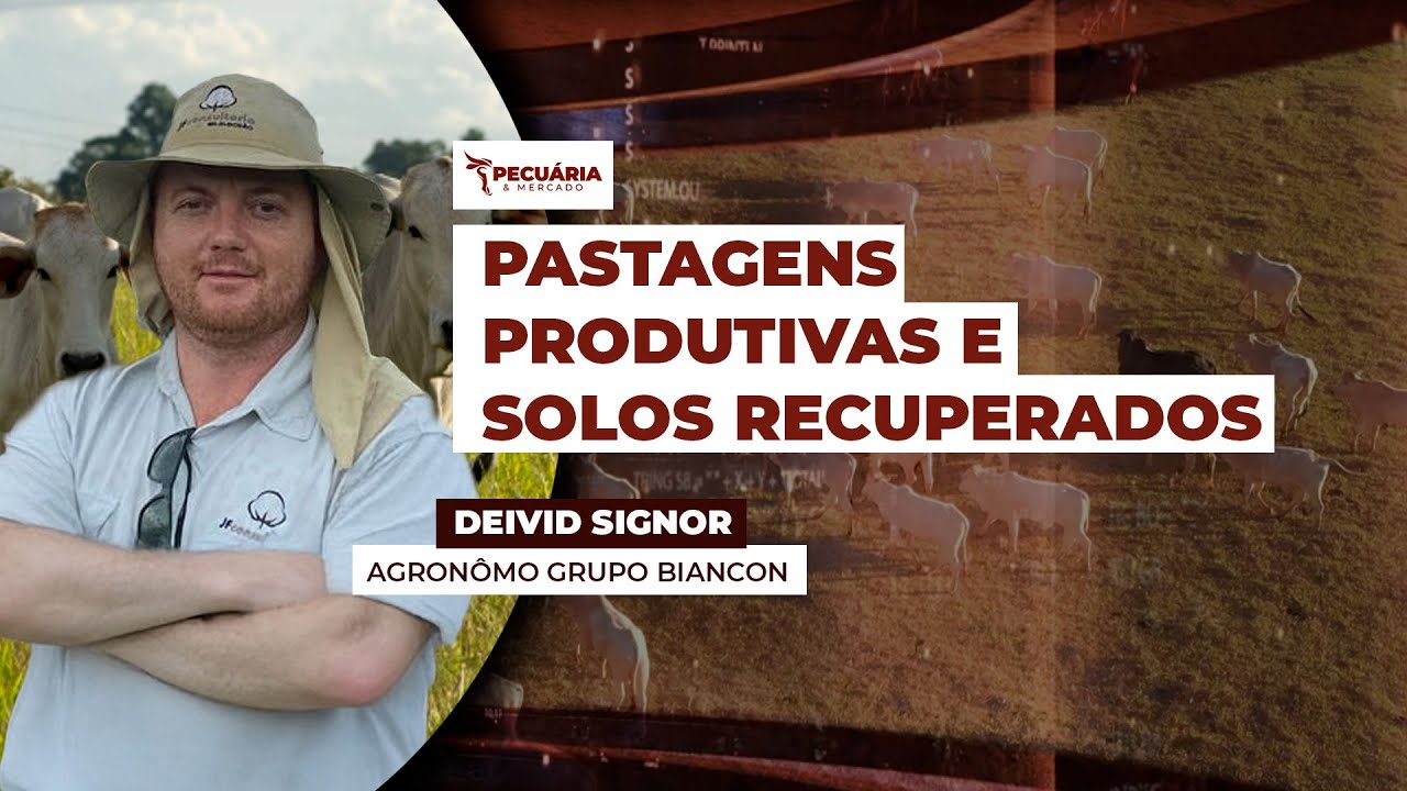 Pastagens produtivas e solos recuperados
