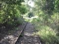 Casino to Murwillumbah Rail Corridor - YouTube